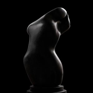 scultura bronzo Mario Pavesi artista reggiano arte corpo femminile astratto
